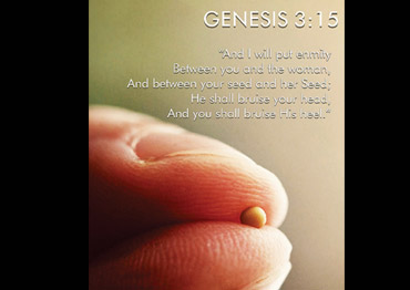 GENESIS 3:15