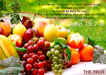 JOHN 15:7-8